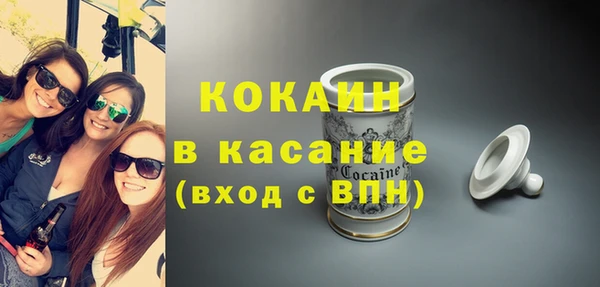 индика Сосновый Бор