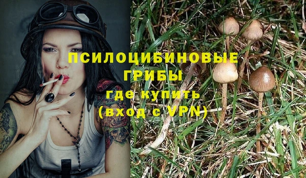 гашик Сосновка