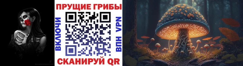 shop формула  наркотики  Коломна  Галлюциногенные грибы Cubensis 